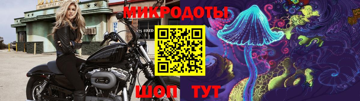 купить наркоту  Вход с VPN  Новочеркасск  Галлюциногенные грибы GOLDEN TEACHER 